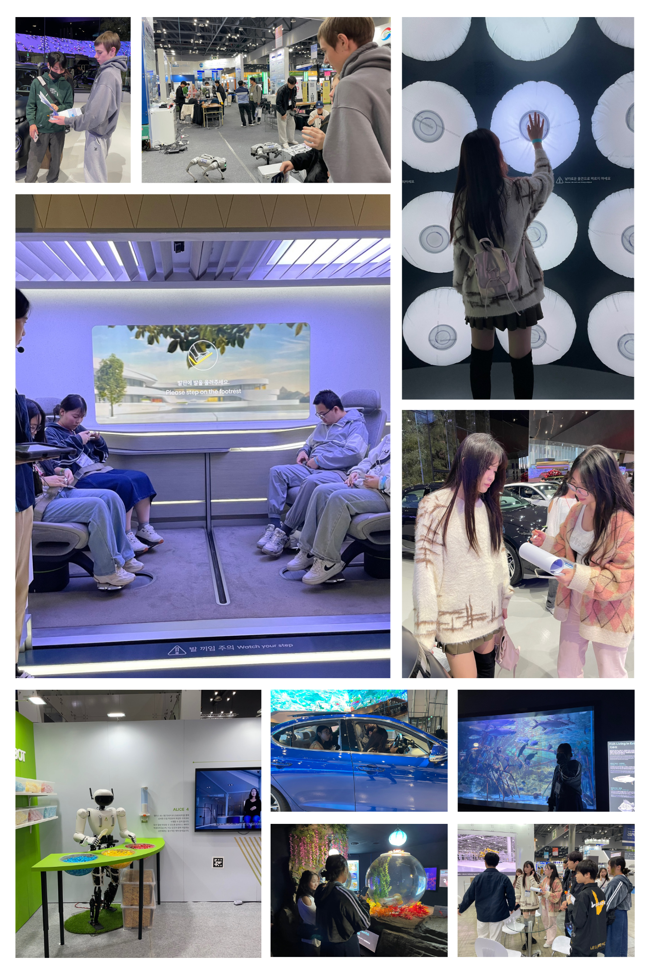 10월 14일~10월 25일 다모아 학교 활동